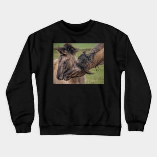 Just Between You and Me Crewneck Sweatshirt